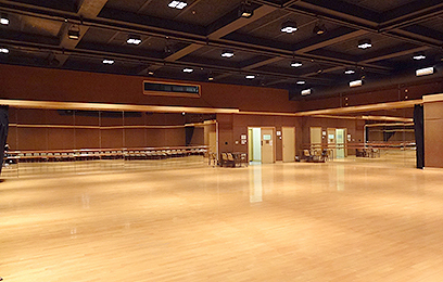 Full View of the Dance Studio